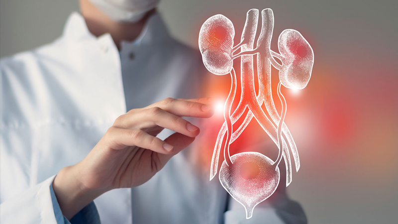 Blog-3-Urinary-Tract-Infections