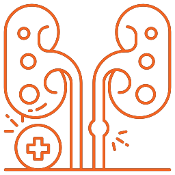 MySmartCare360 | Chronic Kidney Disease -  Image Name 