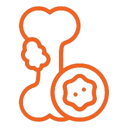 MySmartCare360 | Osteoporosis -  Image Name 