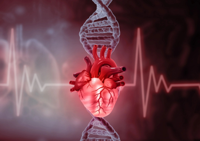 Conceptual-image-of-genetics-and-cardiovascular-health.